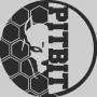 PITBIT logo