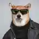 Babaich007